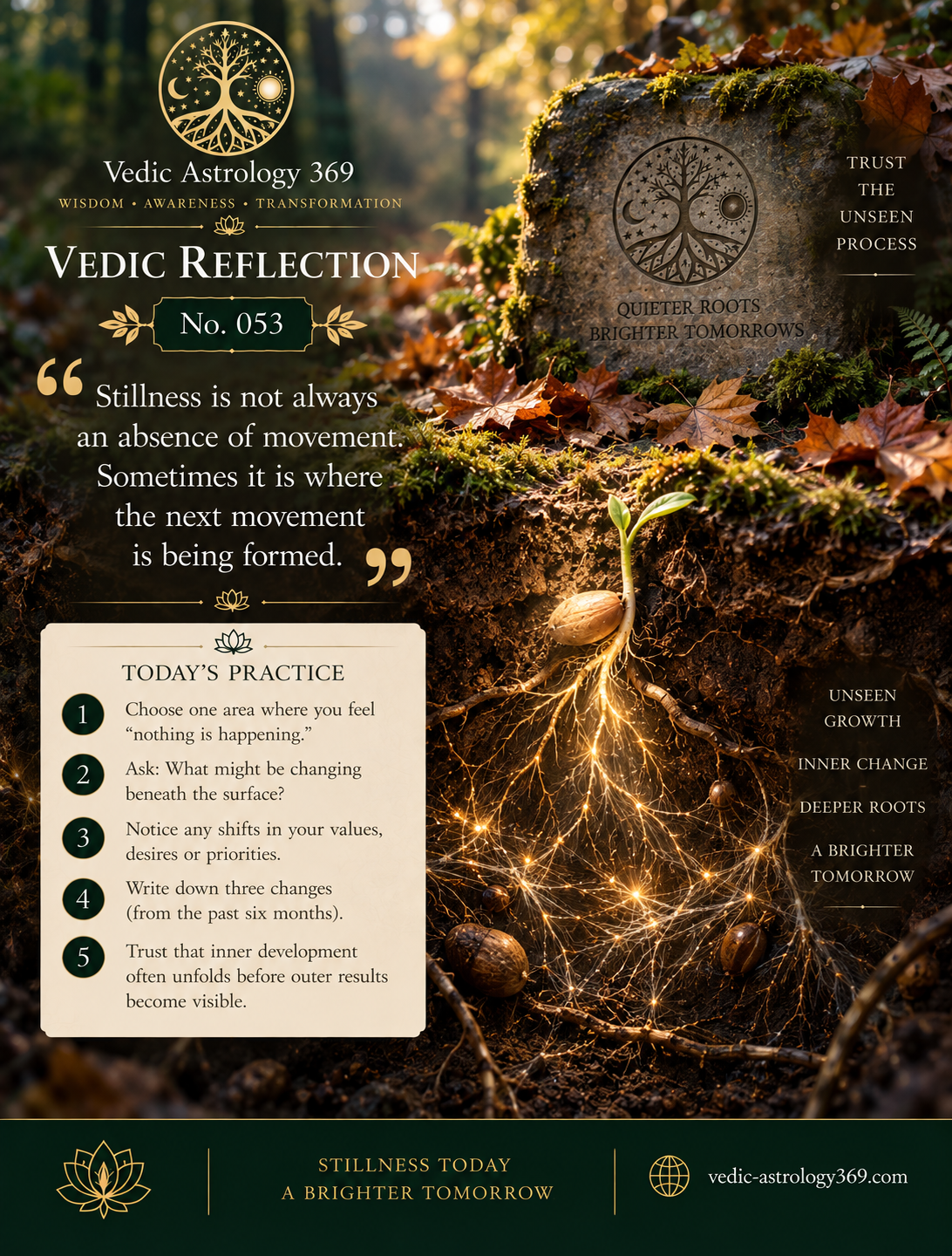 Vedic Reflection No.053 from Vedic Astrology 369, showing a young seedling in an autumn woodland with an illuminated network of roots growing beneath the soil, symbolising unseen inner growth, deeper roots and trusting development before external results become visible.