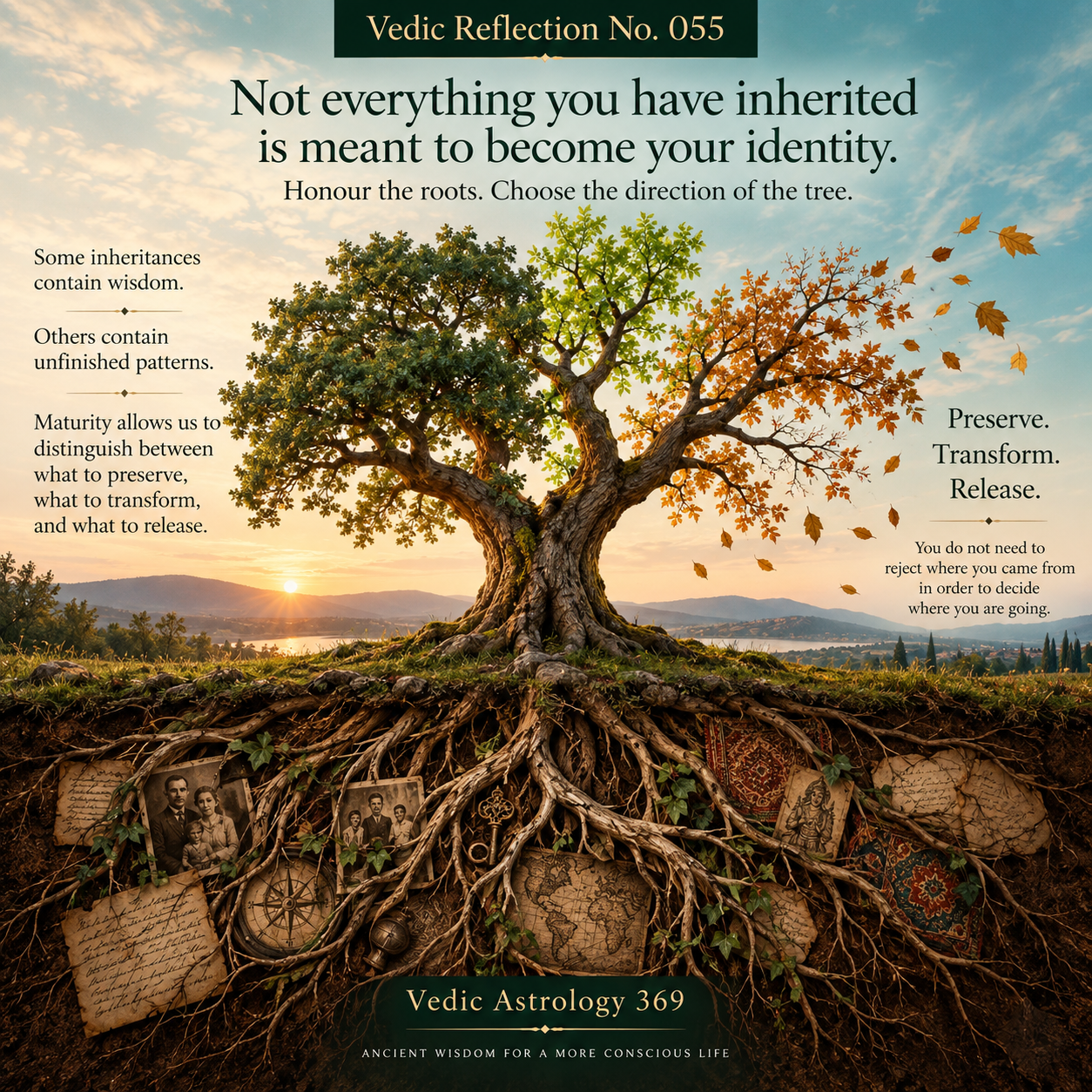 Vedic Reflection No.055 from Vedic Astrology 369, showing a mature tree with exposed roots containing family photographs, documents, maps and cultural objects, symbolising inherited patterns and the conscious choice to preserve, transform or release what we receive from the past.