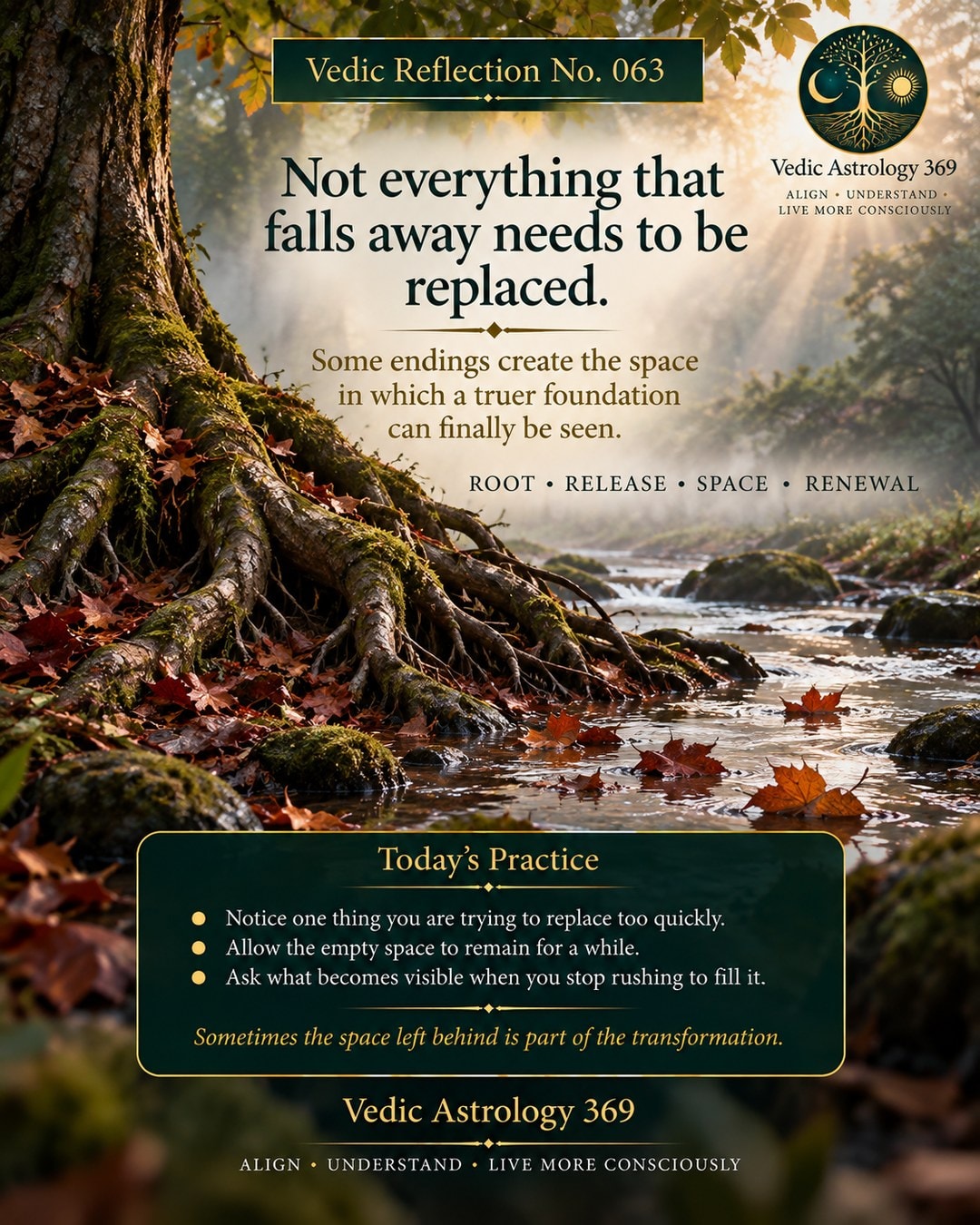 Vedic Reflection No.063 from Vedic Astrology 369 showing the exposed roots of a mature tree beside a flowing woodland stream with fallen autumn leaves, symbolising release, enduring foundations, space and conscious renewal.