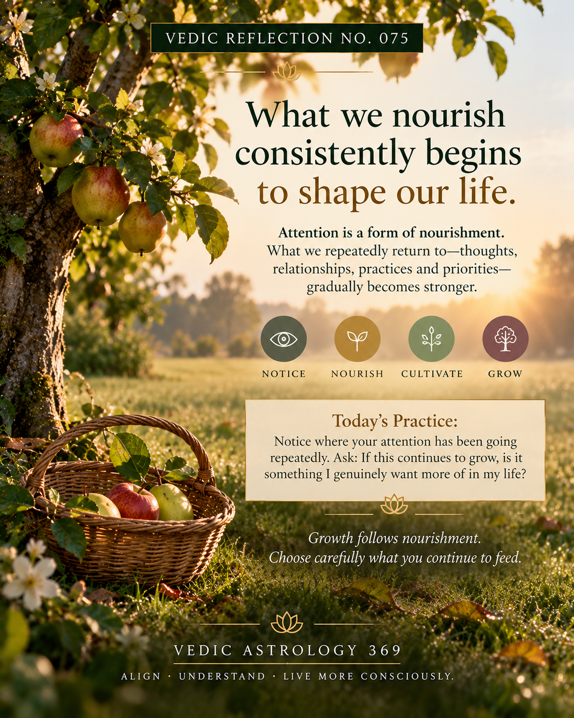 Vedic Reflection No.075 from Vedic Astrology 369, showing a mature apple tree bearing fruit and a basket of apples in a sunlit orchard, illustrating how the thoughts, habits and priorities we consistently nourish gradually shape our lives.